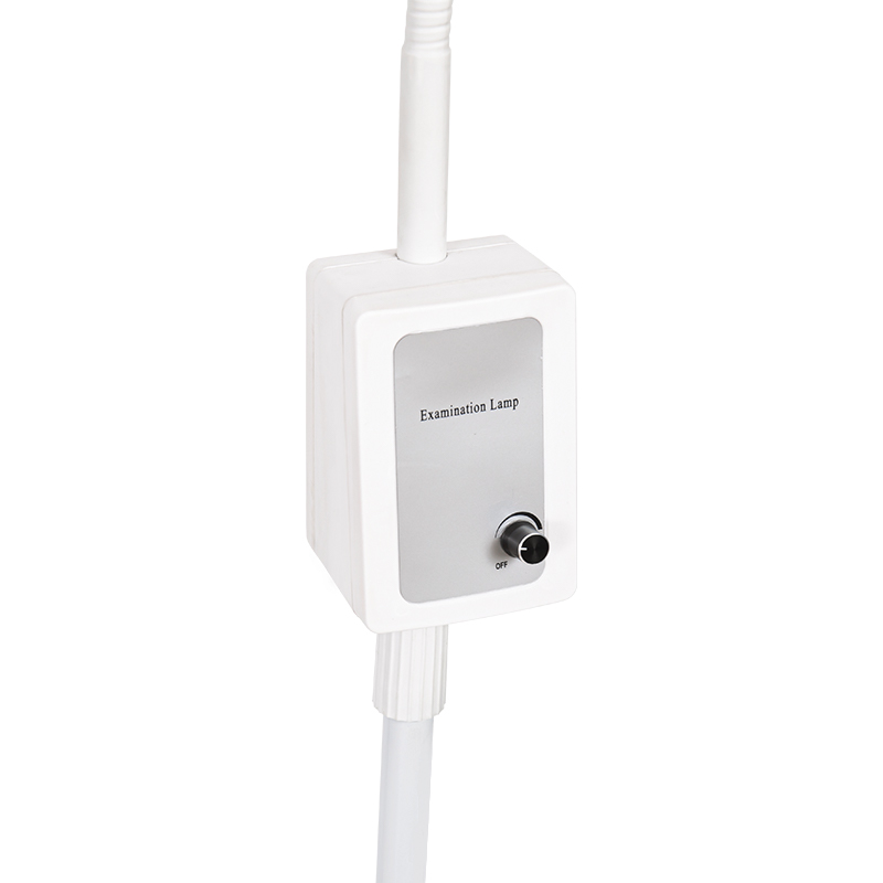 3W inbyggt reservbatteri LED-svanhalsundersökningslampa 3W inbyggt reservbatteri LED-svanhalsundersökningslampa